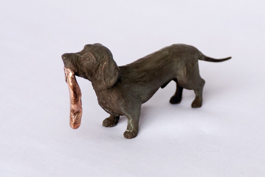 Teckel, staand met lap