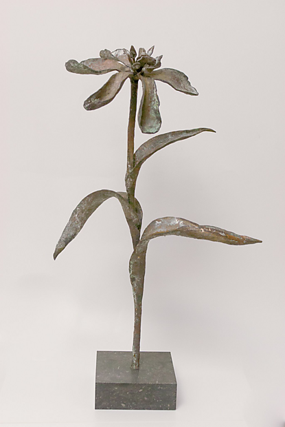 De schoonheid van de ouderdom