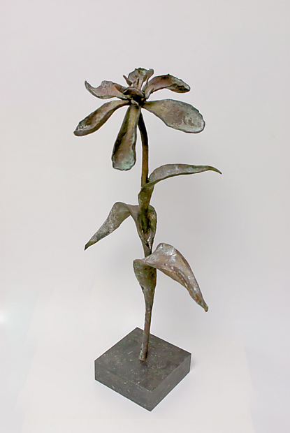 De schoonheid van de ouderdom