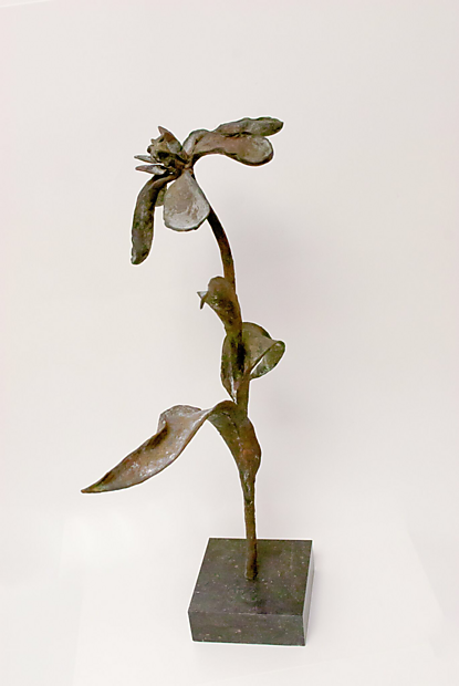 De schoonheid van de ouderdom